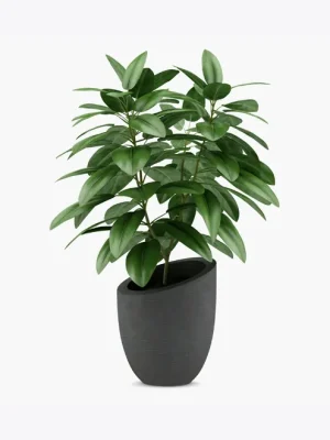 product image 1 optimized product image 1 optimized