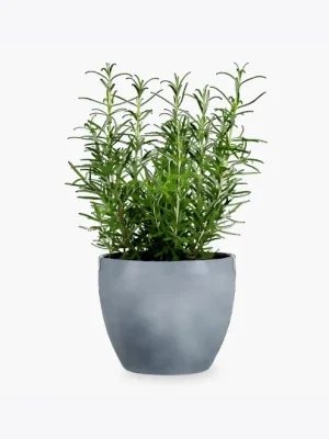 product image 5 optimized product image 5 optimized